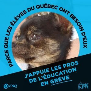 Meet your Posher, Catherine